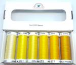 Soie 1003 - Pack 6 nuances - Jaune