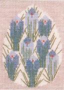 Crocus in Egg