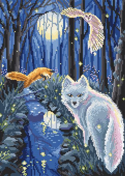Une nuit d\'été