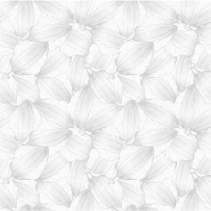 Toile Aïda imprimée à broder 5,5 pts/cm - Pétales gris perle 38X