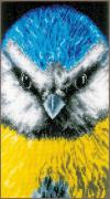 Mésange bleue