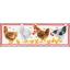 Poules