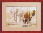 Éléphants