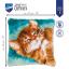 Chat ronronnant