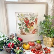 Étude aux tomates - Lin