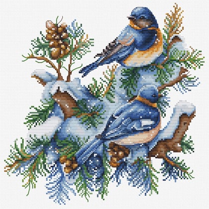 The birds-winter