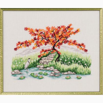 Japanese maple 2