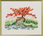 Japanese maple 2