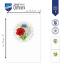 Cartes à broder : Fleurs des champs - Set de 3