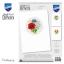 Cartes à broder : Fleurs des champs - Set de 3