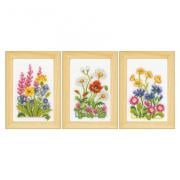 Fleurs des champs - lot de 3