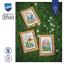 Fleurs des champs - lot de 3