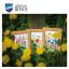 Fleurs des champs - lot de 3