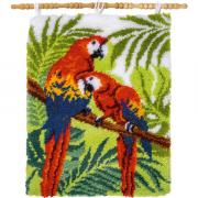 Perroquets dans la jungle
