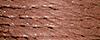 Silk Mori 7134 - Medium Bark