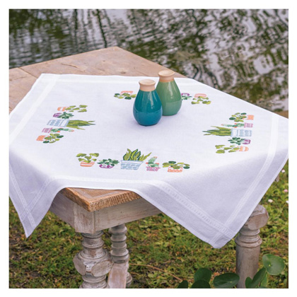 Centre de table - Plantes d\'intérieur