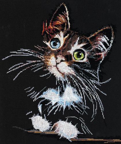 Chaton duveteux