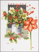 Amaryllis joyeux