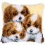 3 Chien