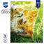 Coussin : Renards en automne