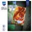 Coussin : Ecureuil en automne
