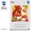 Coussin : Ecureuil en automne