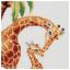 Safari Giraffe