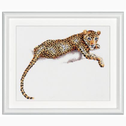 Safari Leopard