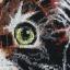 Chaton duveteux