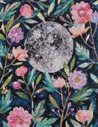 Secrets de lune