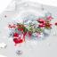 Winter Caprice