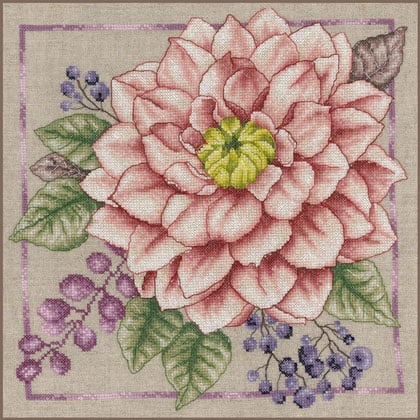 Blush florissant
