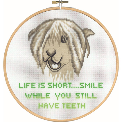 Life is short... Smile while you still have teeth