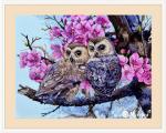 Two Owls in Spring Blossom
