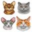 Cats (4)