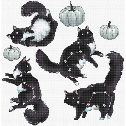 Cat Constellation