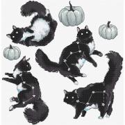 Cat Constellation
