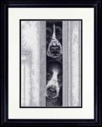 Chiots à la recherche