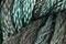 Caron Waterlilies 304 Cypress