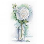 Delicate peony (Dimitry Shvetsov)