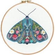 Pollen - Moth
