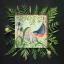 Flights Of Fancy - Nuthatch