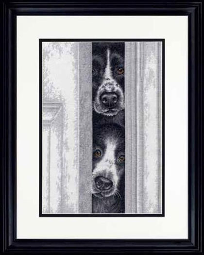 Chiots à la recherche