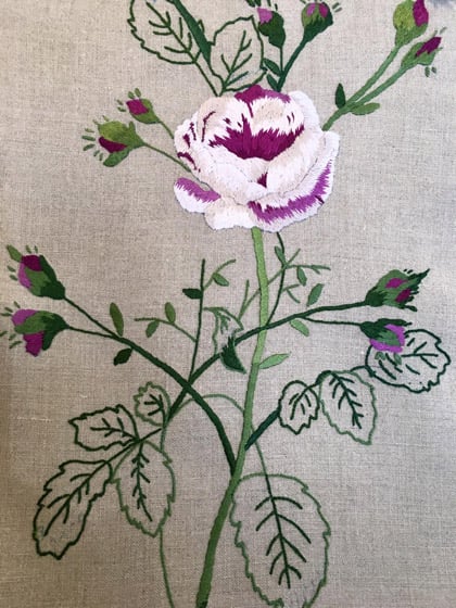 La Rosa Rosa