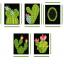 Couverture de boîte à mouchoirs Cactus