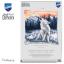 Coussin - Le loup en hiver