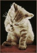 Chaton