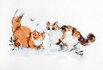 Chatons d'hiver