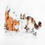Chatons d'hiver