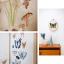 Eco Vita Book 1 - The Botanist's Cabinet